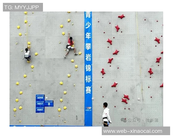 从零基础到高水平攀岩耐力提升全攻略助你轻松征服每一座岩壁 从零基础到高水平攀岩耐力提升全攻略助你轻松征服每一座岩壁