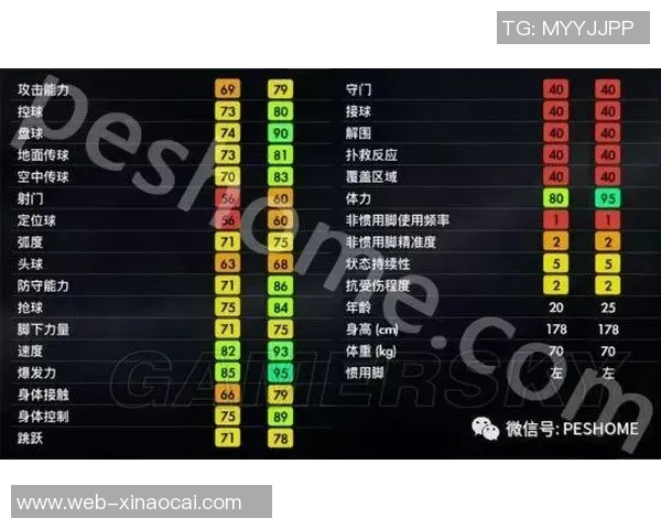 南京足球队实力深度解析与对手对比分析 南京足球队实力深度解析与对手对比分析