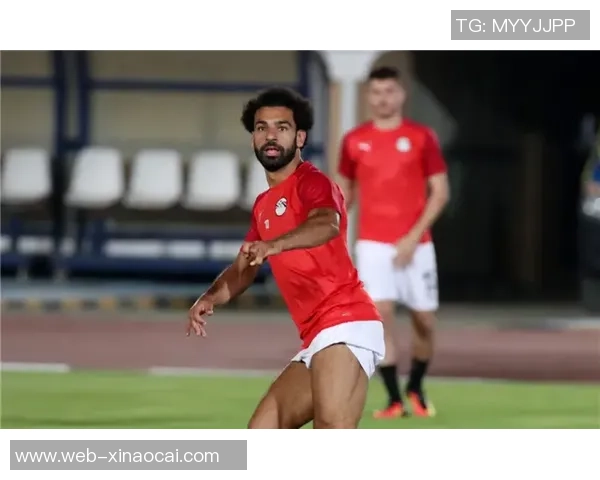 埃及与乌干达足球比赛因不可抗力因素宣布取消引发广泛关注